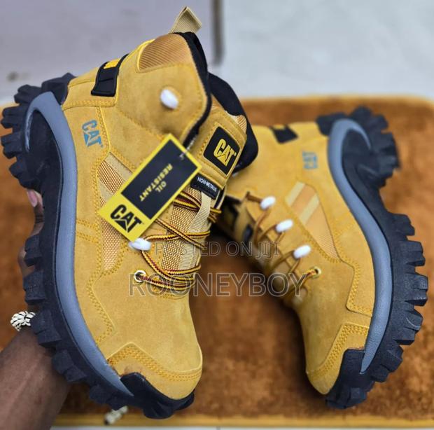 Caterpillar - thumbnail 3