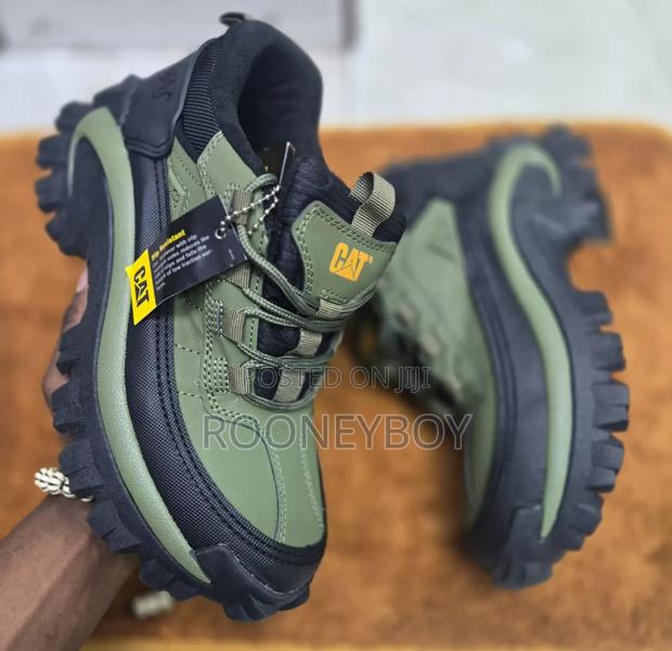 Caterpillar - thumbnail 5