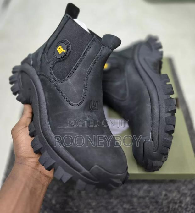 Caterpillar - thumbnail 9