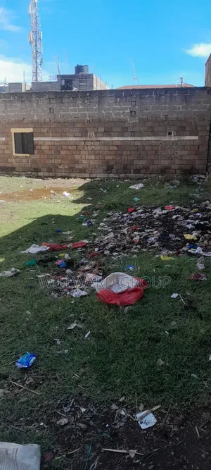 Mlango Kubwa Plot