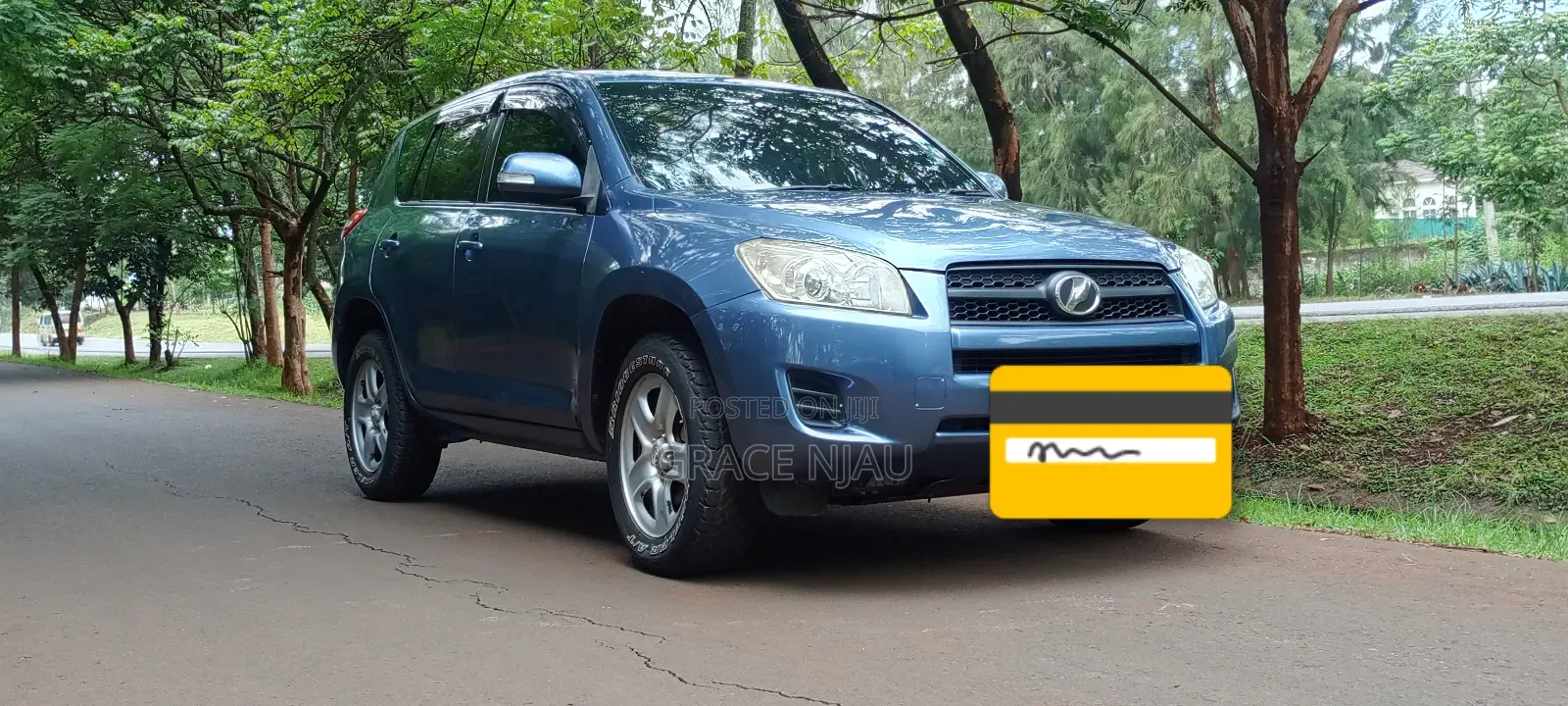 Toyota RAV4 2011 Blue