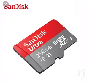 256 GB Sandisk Memory Card.