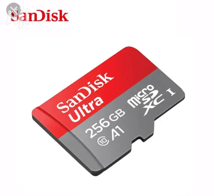 256 GB Sandisk Memory Card.