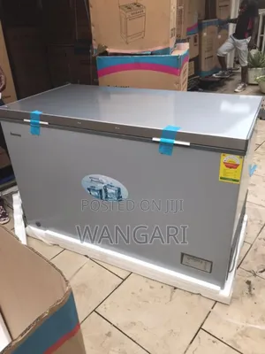Rcf450k-B Roch Freezer