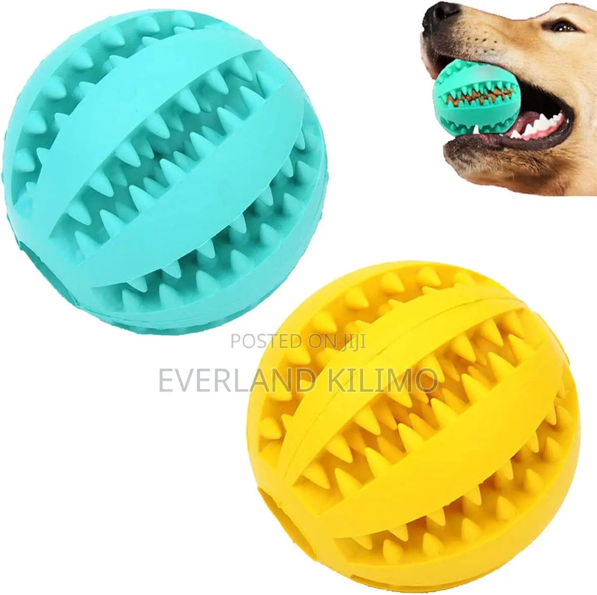 Dog Ball With Treats-L