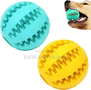Dog Ball With Treats-L