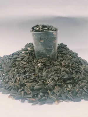 Black Sunflower Seeds