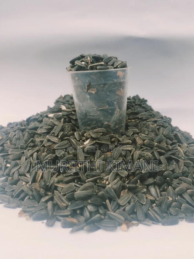 Black Sunflower Seeds - main view