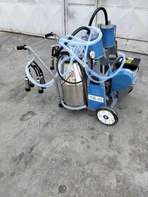 Double Milking Machine