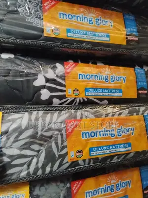 Mattress Morning Glory 4×6 Plain Top Comfort Mattress – 8′′ Support