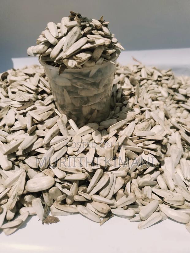 White Sunflower Seeds - thumbnail 3