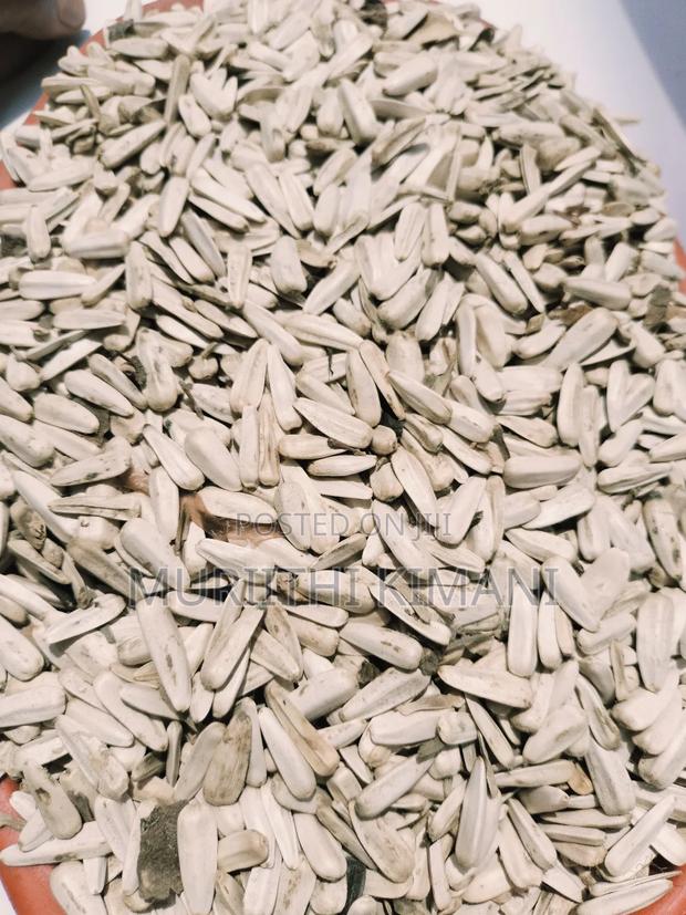 White Sunflower Seeds - thumbnail 4