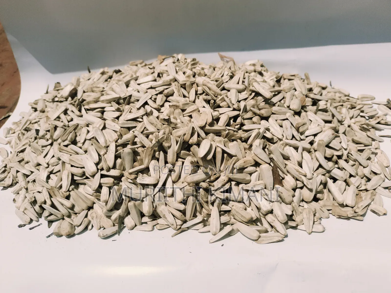 White Sunflower Seeds