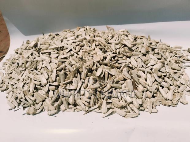 White Sunflower Seeds - thumbnail 5