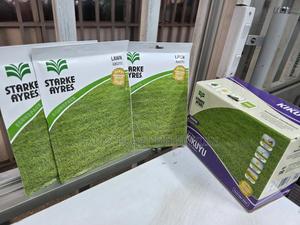 Starkeayres Kikuyu Grass 75g