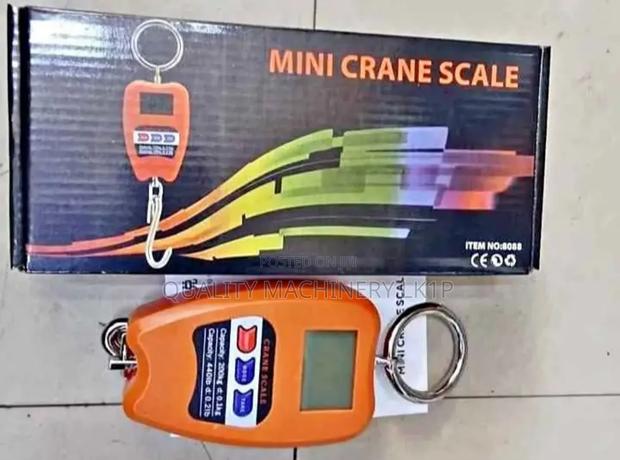 Affordable Crane 200kg Mini Scale