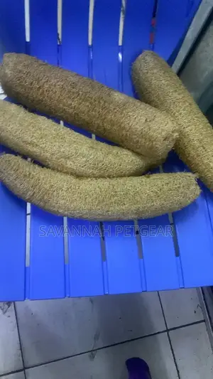 Natural Luffa Sponge for Exfoliating Skin or Cleaning (Biodegradable)