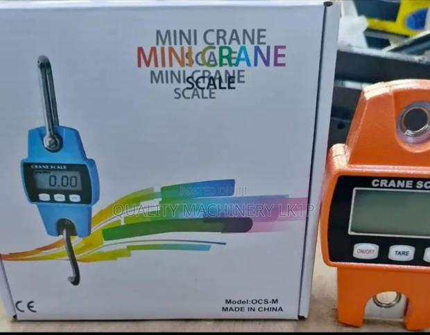 Quality Crane Digital Weight 300kg White Scale