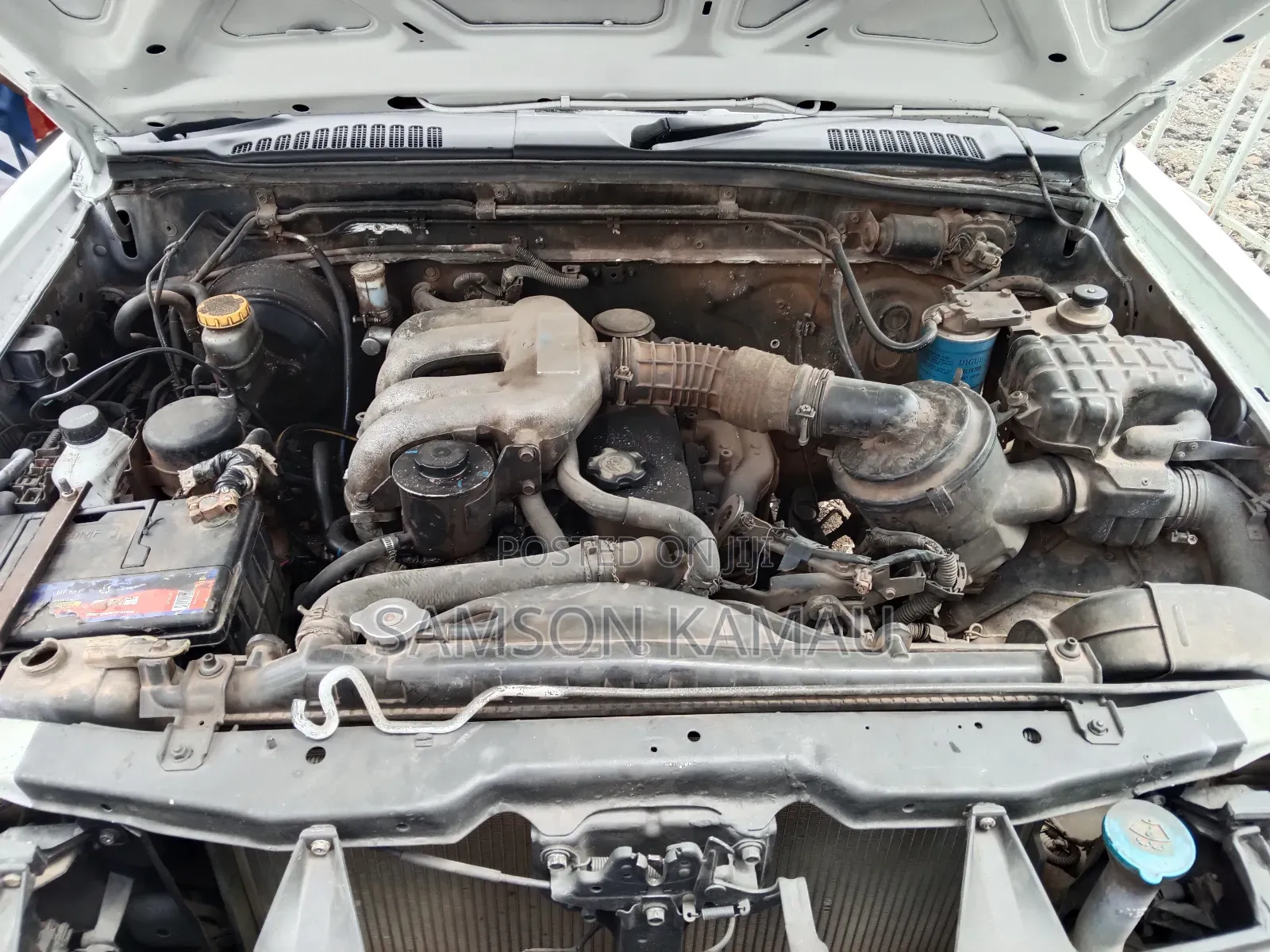 Nissan Hardbody 2008 White