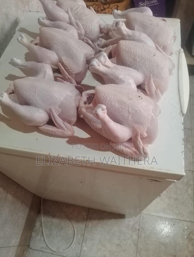 Chicken Broilers - thumbnail 2