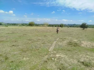 Plot for Sale