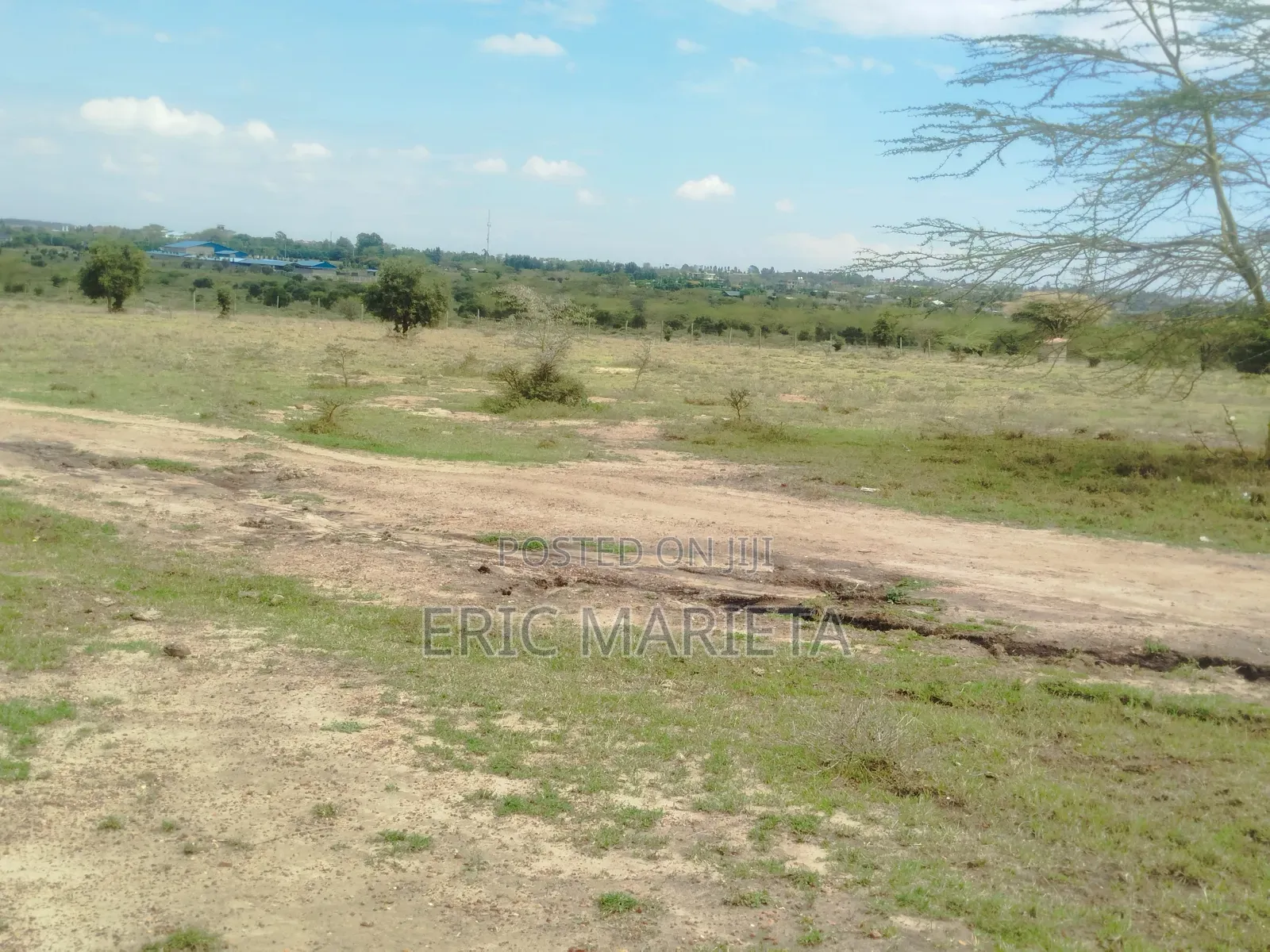 Plot for Sale