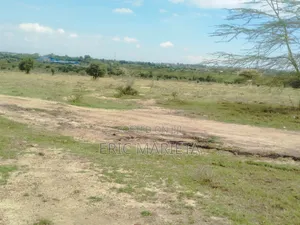 Plot for Sale