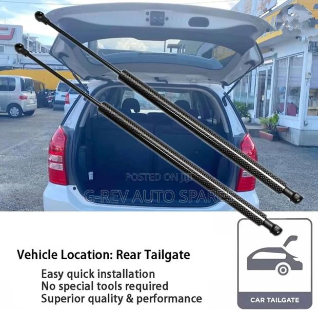 Toyota Wish Boot Shocks Struts - main view