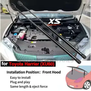 Harrier 2014-2018  Bonnet  Shocks Struts