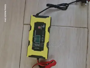 Battery Charger and Pulse Repairer 12v6a – Advanced Pulse Repair Tech