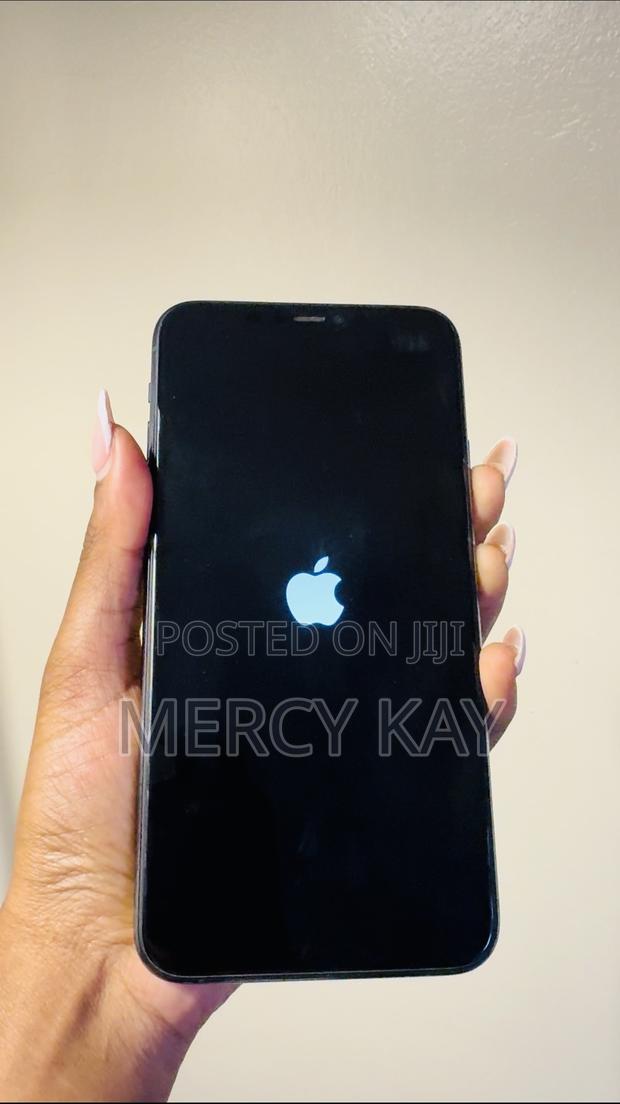 Apple iPhone 11 Pro Max 256 GB Gray - main view