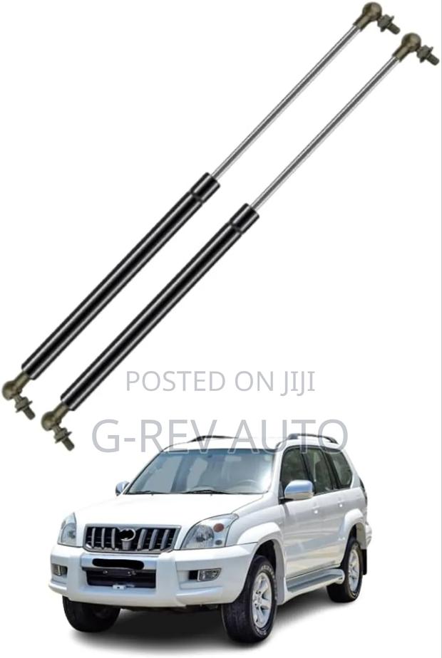 Prado  J120  Bonnet Shocks  Struts.
