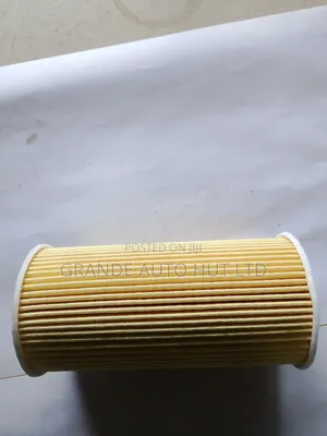 Oil Filter for Kia Sorento/Hyundai Santa Fe 2012 Diesel (Hlmando)
