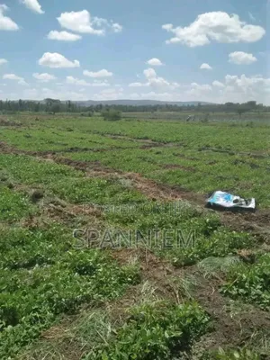 Plot for Sale