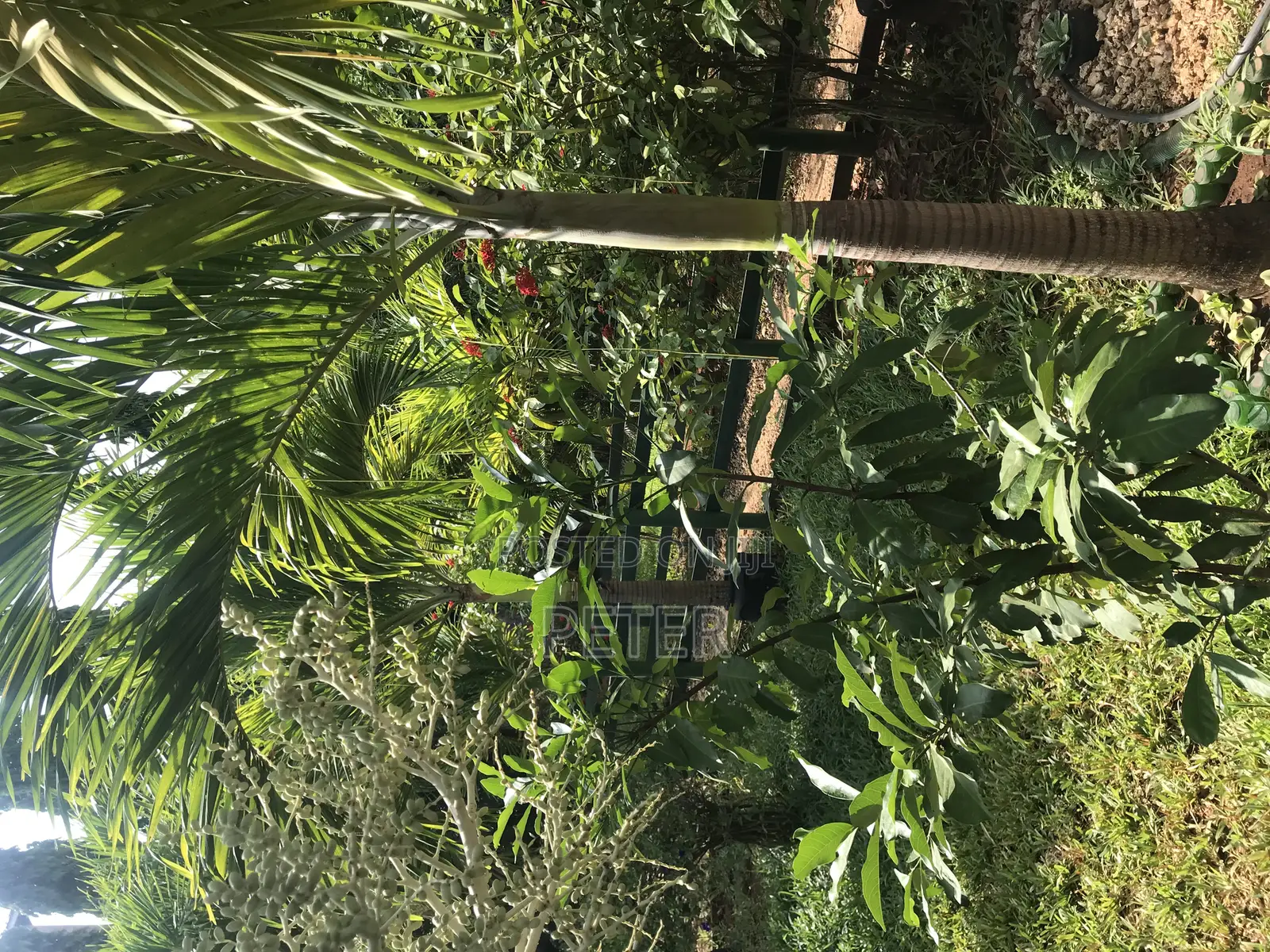 1bdrm Bedsitter in Darad, Diani for rent