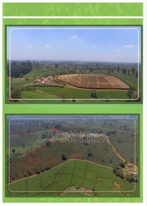 Plot for Sale