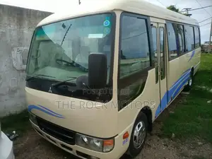 Mitsubishi Rosa 2019 Brown