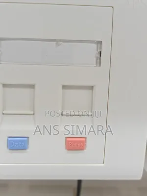 Dual-Port Rj45 Networking Faceplate