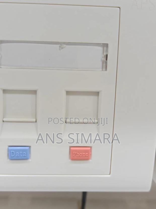 Dual-Port Rj45 Networking Faceplate