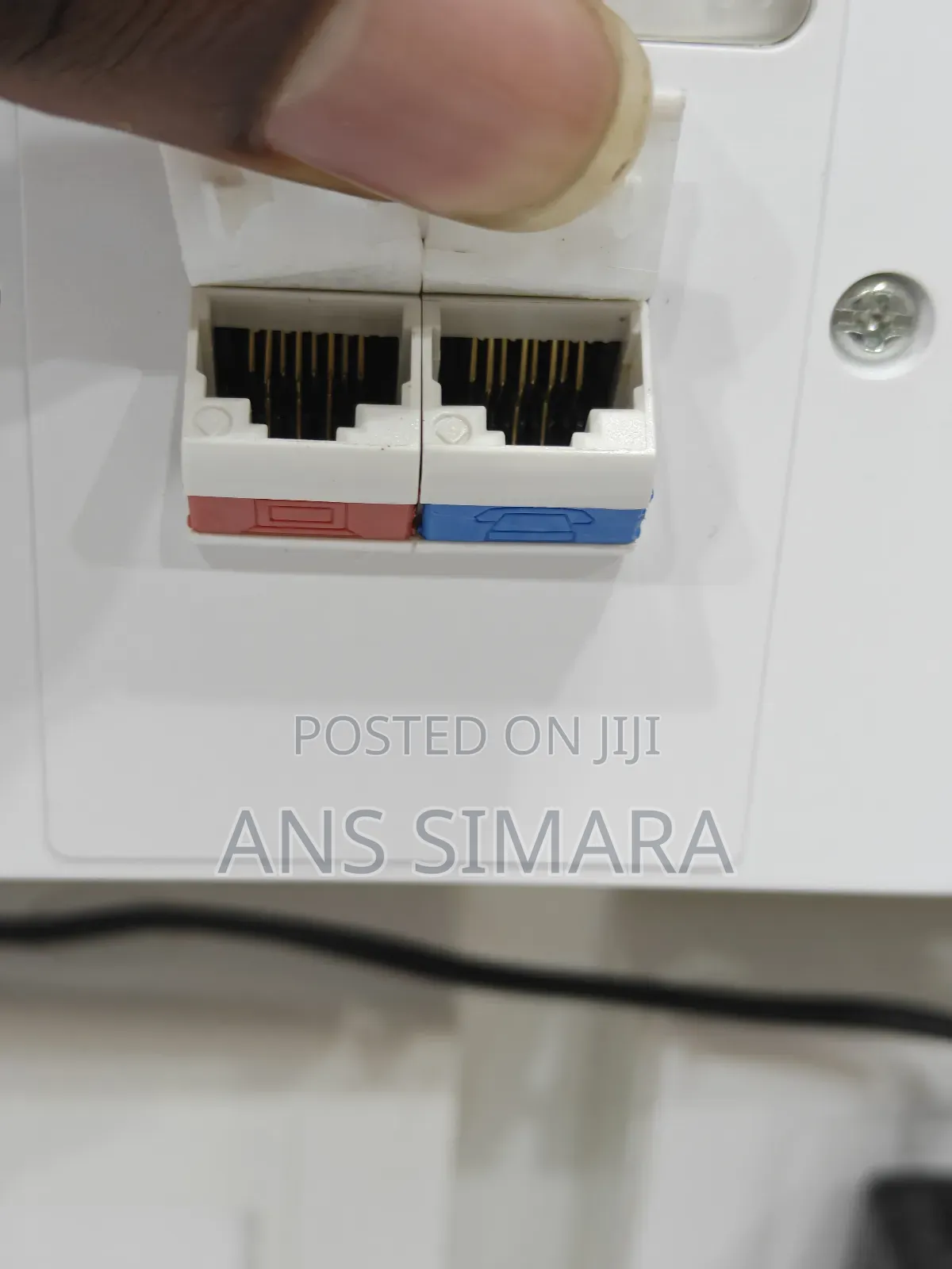 Siemon Dual-Port Networking Faceplate