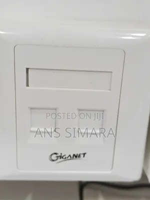 Giganet 2-Port Dual Faceplate