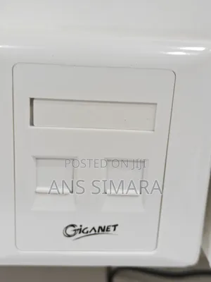Giganet 2-Port Dual Faceplate