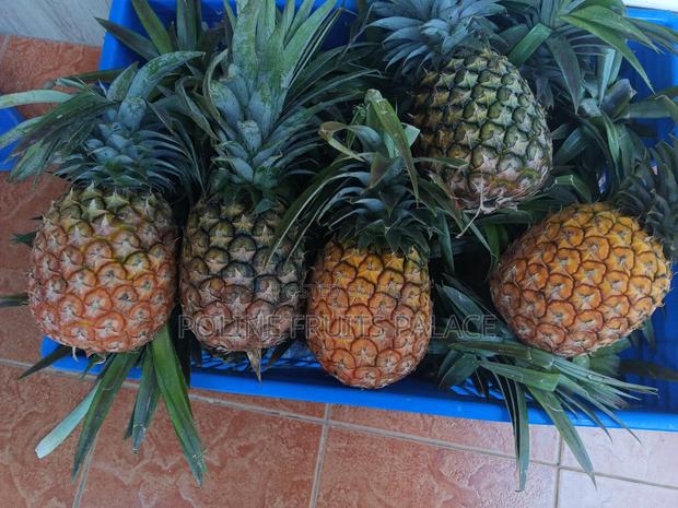 Red Smoothies - thumbnail 8