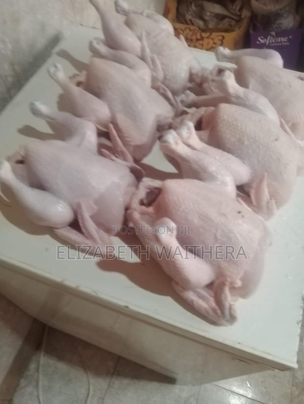 Chicken Broilers - thumbnail 3