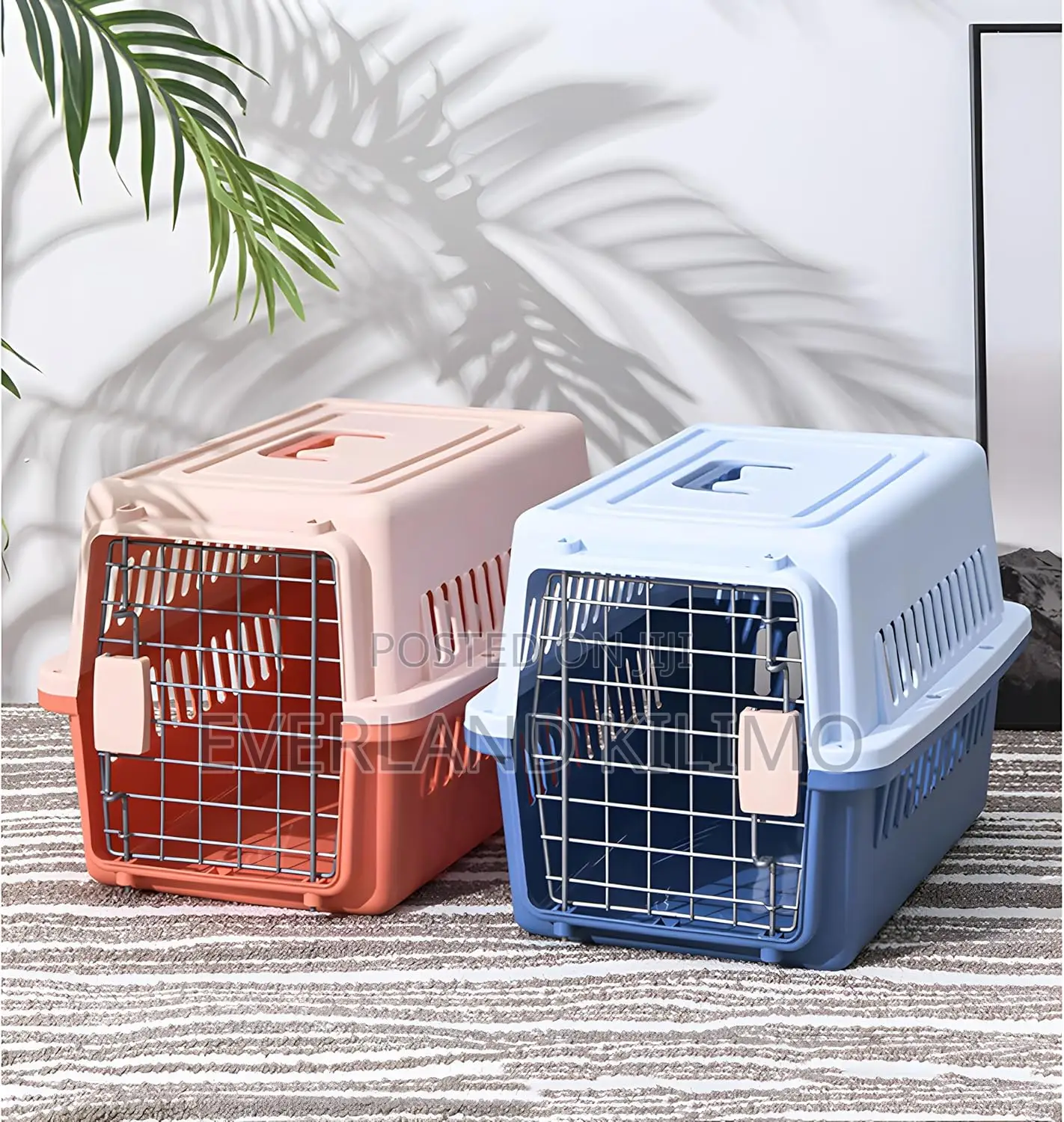 Secure Travel for Your Pets-S