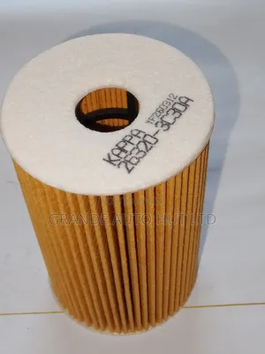 Oil Filter for Hyundai Ix35 Diesel (Kappa Brand)