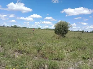 Plot for Sale