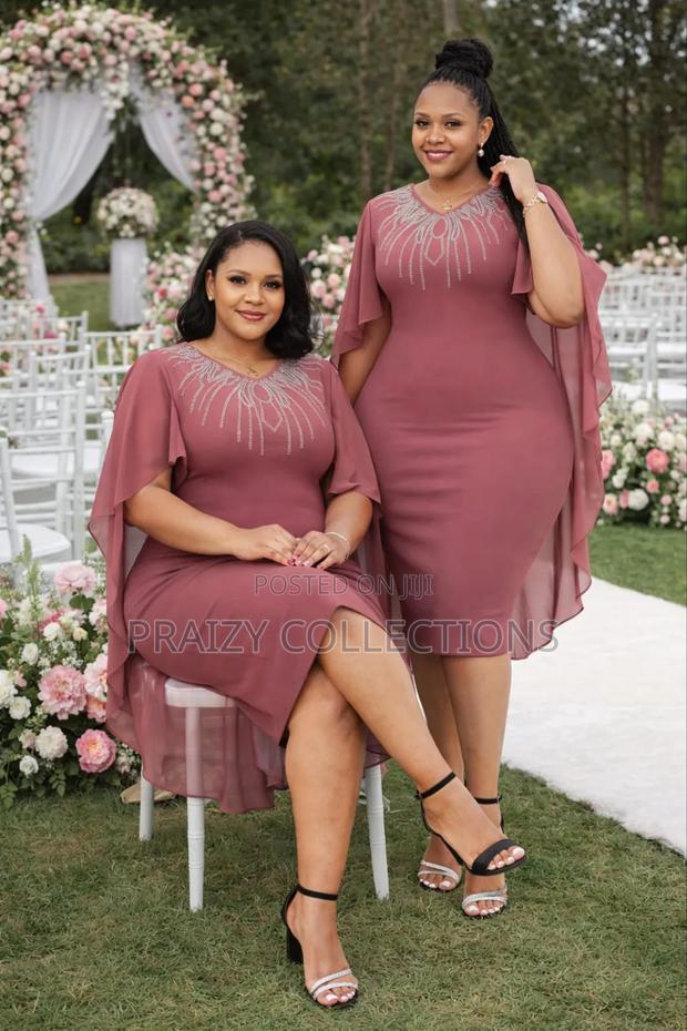 Elegant Sheer Sleeved Dress - thumbnail 4
