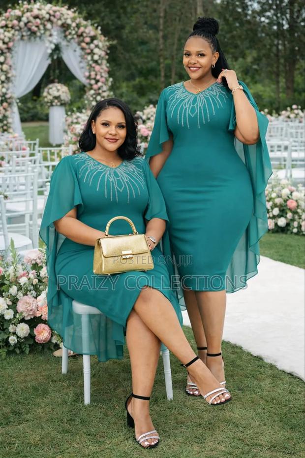 Elegant Sheer Sleeved Dress - thumbnail 5