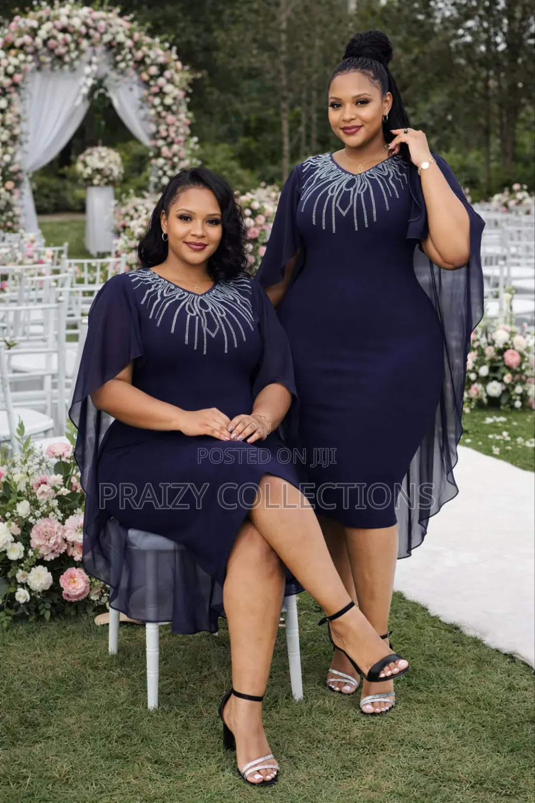 Elegant Sheer Sleeved Dress